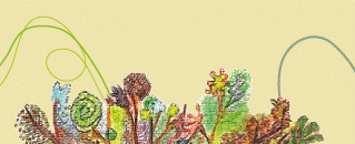 Colette Doux, les jardins de l'Helvie, psychologie et soin par les plantes