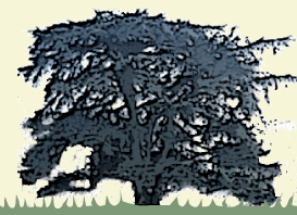 menu Colette Doux, les jardins de l'Helvie, psychologie et soin par les plantes