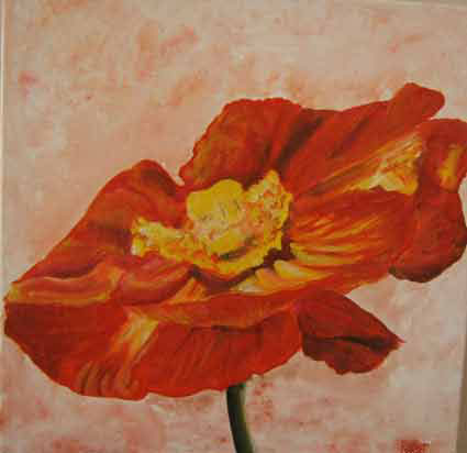 Coquelicot