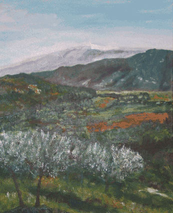 Paysage du Mont Ventoux