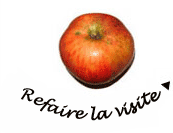 refaire la visite